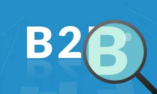 如何确保b2b系统在跨境交易中的安全性？