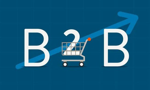 B2B网站源码如何选择与优化？